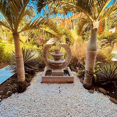Tropicana Suites Deshaies Extérieur photo